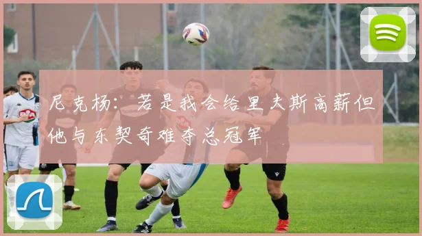 尼克杨：若是我会给里夫斯高薪但他与东契奇难夺总冠军
